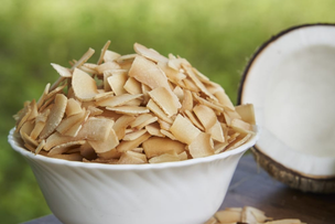 Plain Coconut Chips